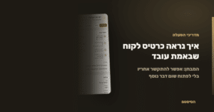 איך נראה כרטיס לקוח שבאמת עובד - הסיסטם